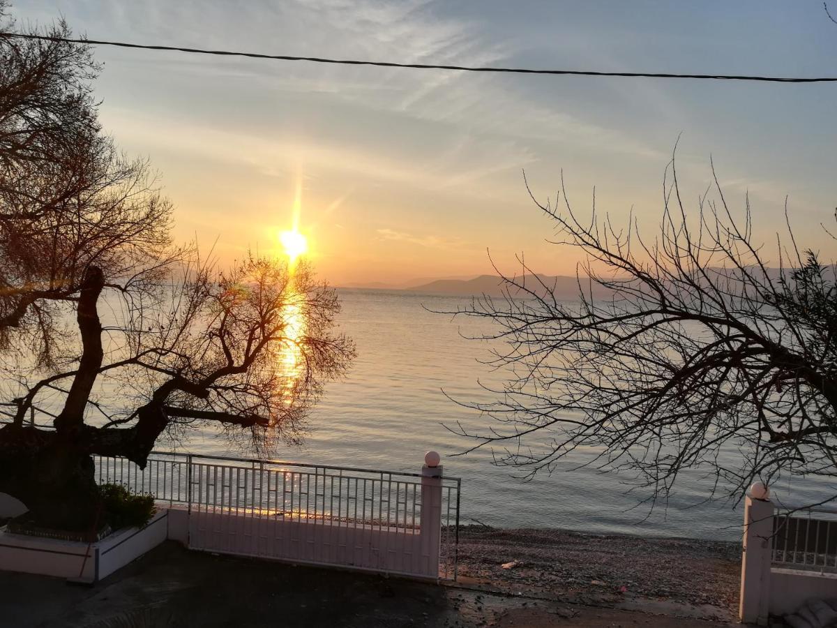Akrogiali Agiokampos  Buitenkant foto